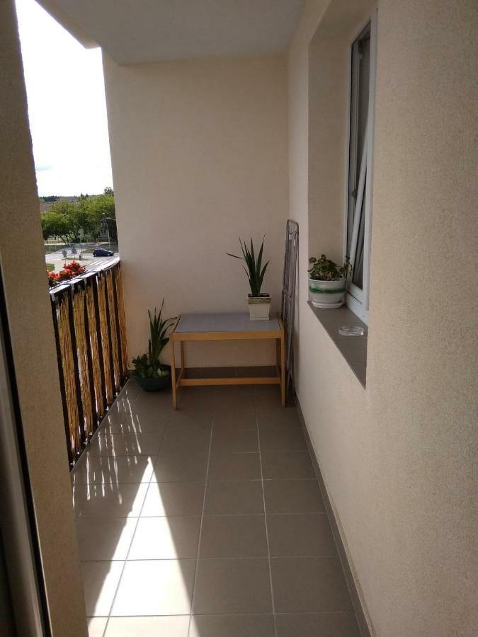 Kaktusik Apartment Suwalki Exterior photo